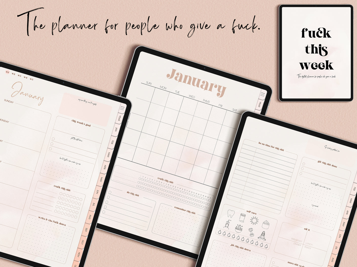 F*ck This Week Vulgar Undated Weekly Planner